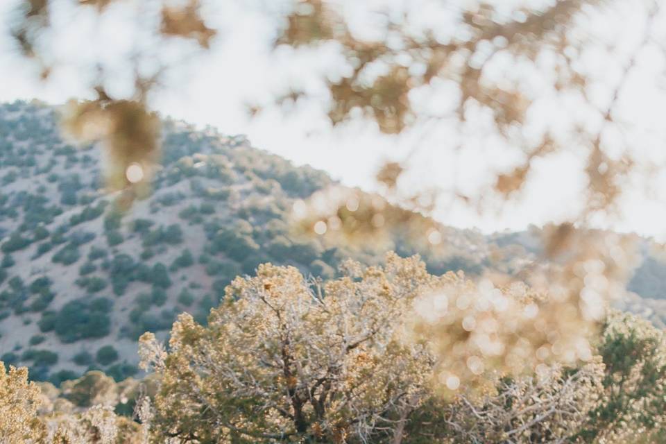 Engagement session in the New Mexico desert