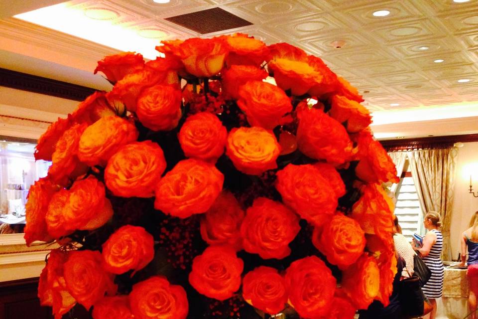 Orange roses