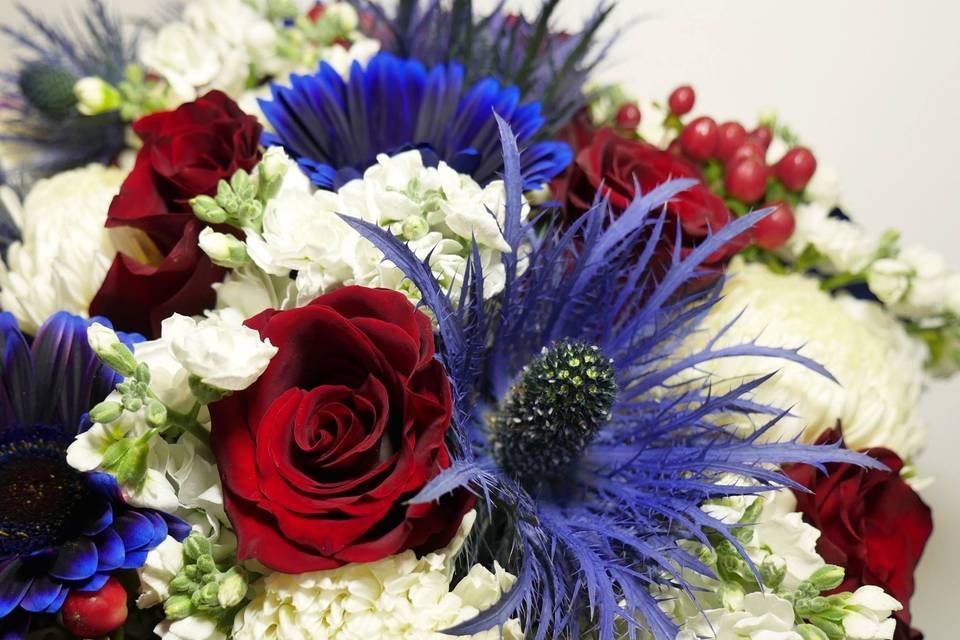 Blue, red and white flowers