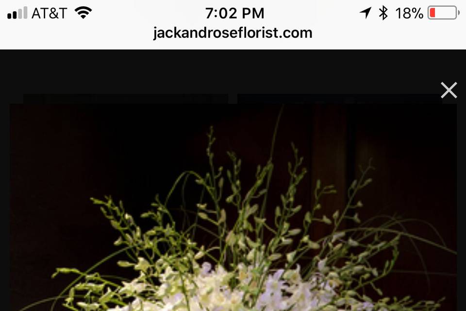 Jack & Rose Florist