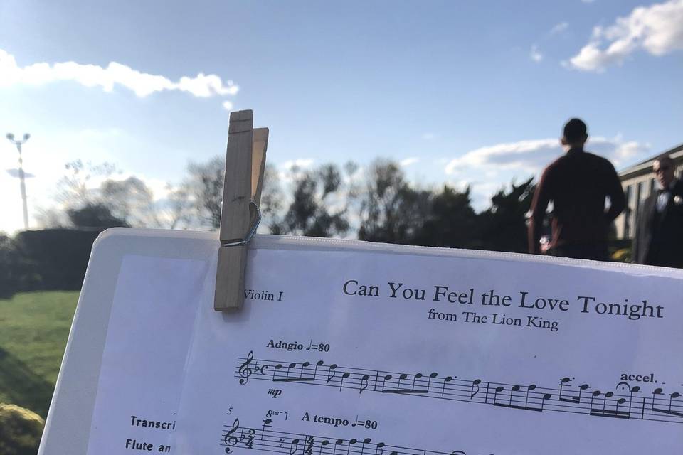Can You Feel the Love?