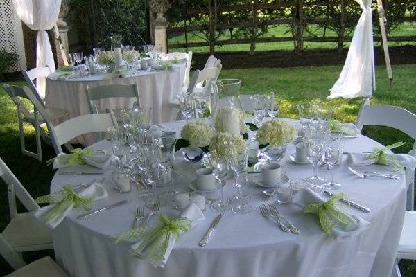 Backyard Wedding