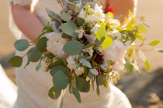 Susannah DeAngelo Photography