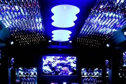 EL24 White Limo Party Bus •	Seats up to 24 Passengers • http://www.exceedlimo.com/EL24_White_Limo_Party_Bus