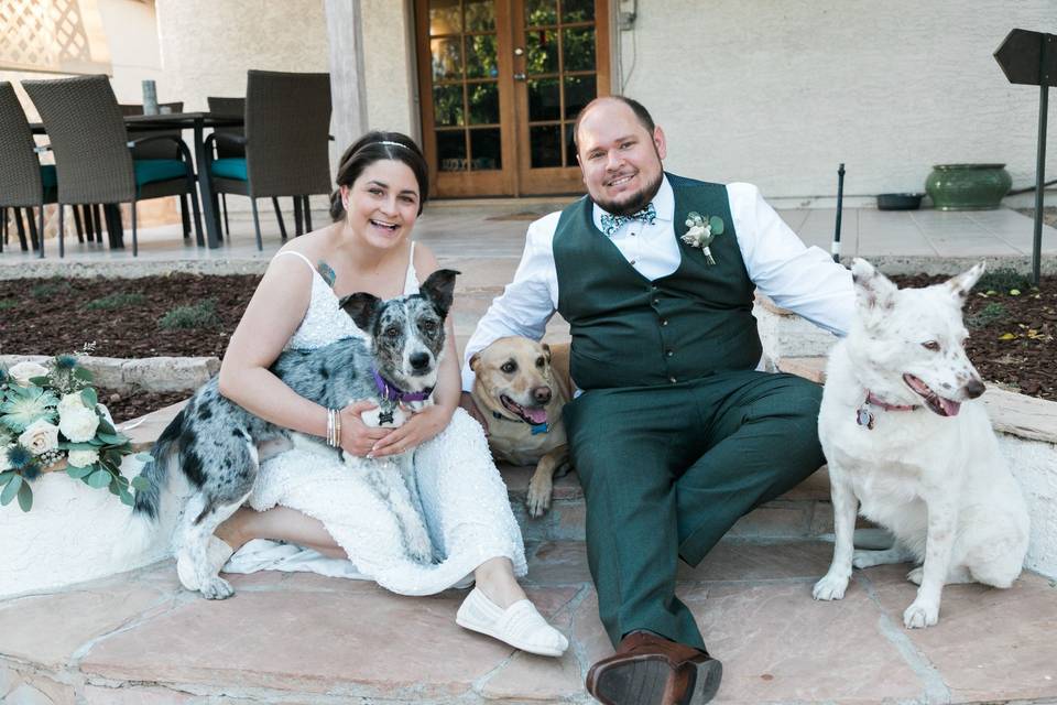 Wedding dog kids