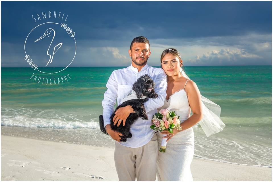 Beach Wedding Portrait