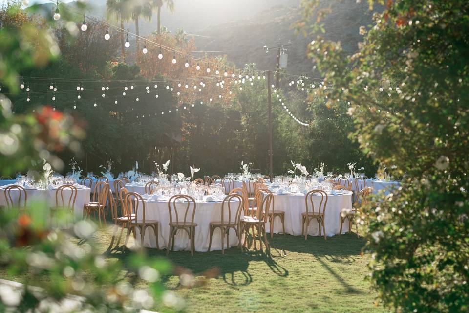 Danielle Bennink Photography