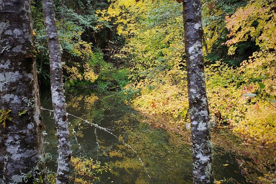 Pond for photos.