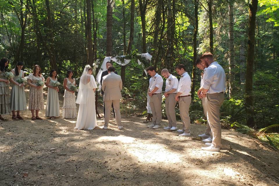 Deep woods