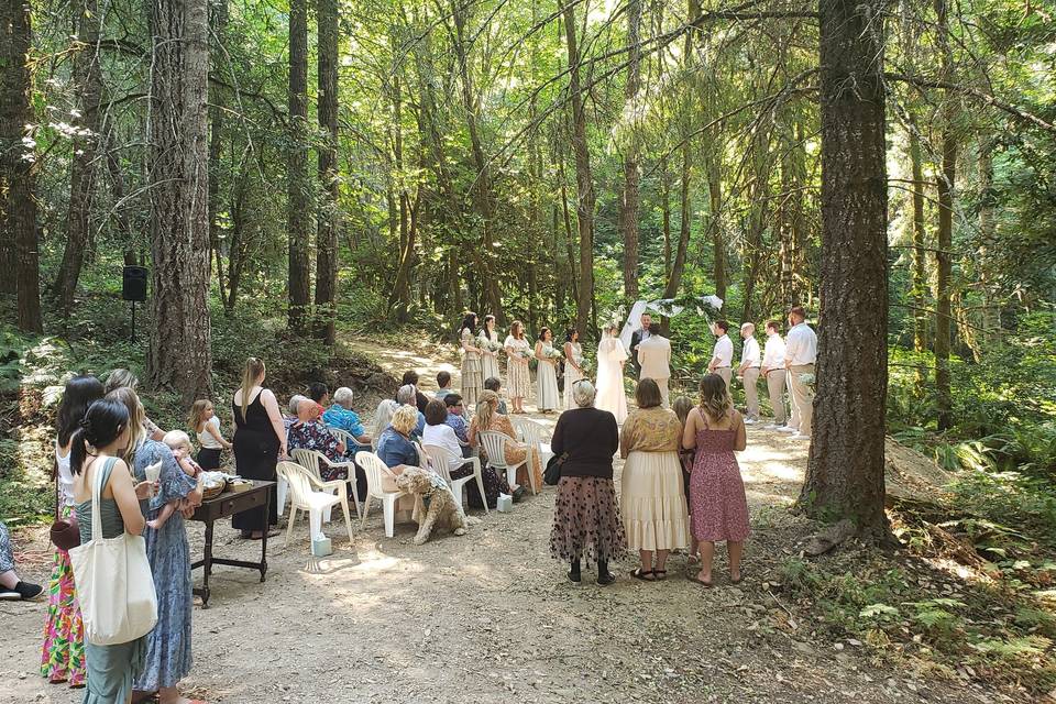 Deep woods location
