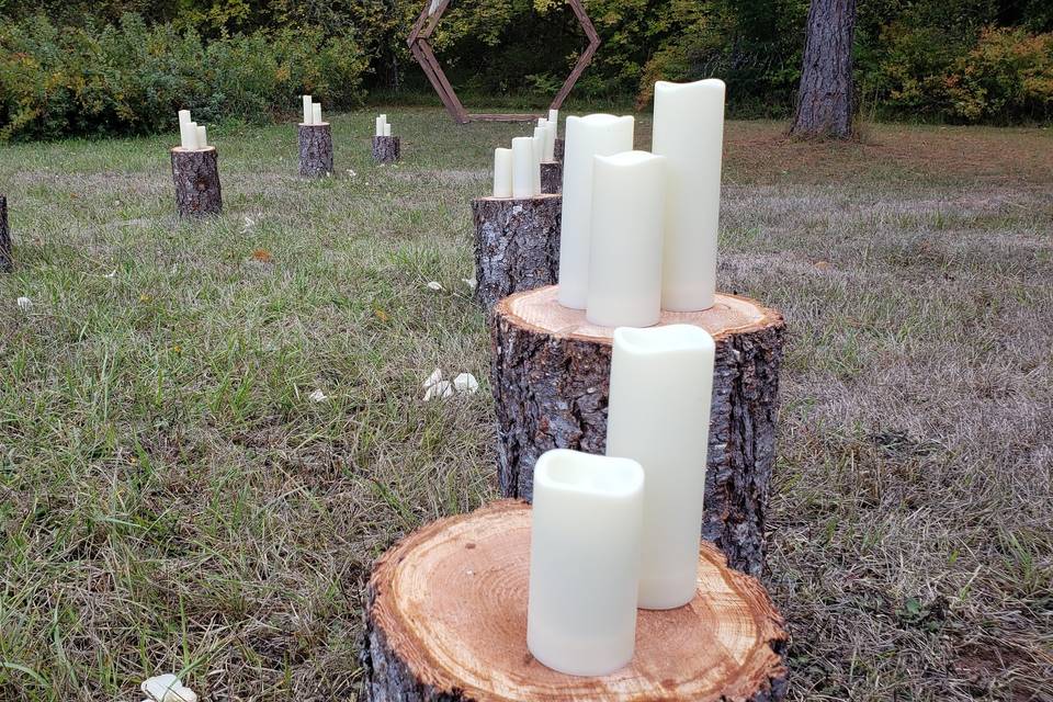 The grove.