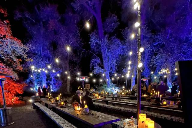 Amazing Lighting and Decor