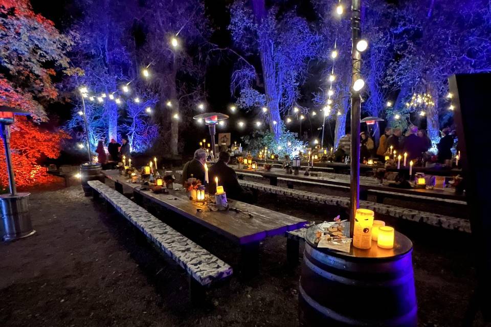Amazing Lighting and Decor