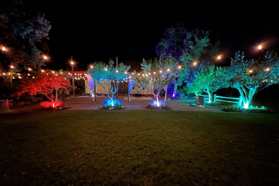 Uplighting