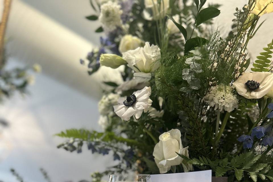 Outer Banks Wedding Expo