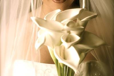 Kirk Speer Photography