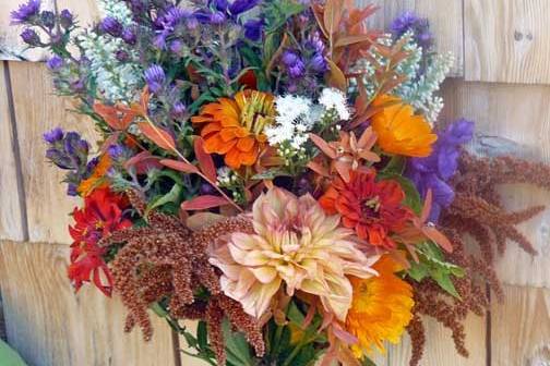 Late-summer Dahlia bouquet from Dan's Flower Farm, Sedgwick Maine