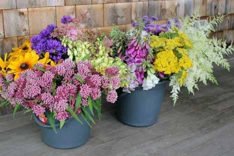 Bulk flowers for do-it-yourself arranging from Dan's Flower Farm, Sedgwick Maine