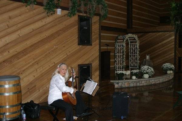 Phyllis Lynch on Classical Guitar at Burdett Park in Evansville IN