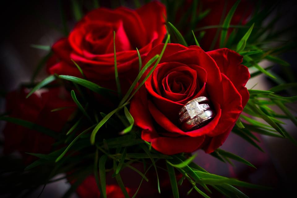 True Expressions Studios