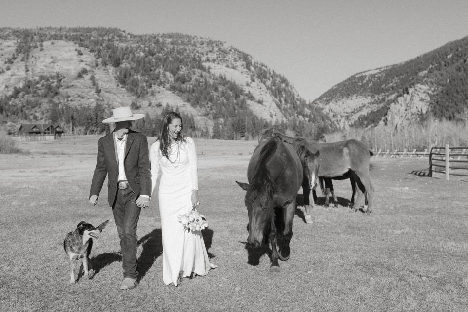C&T-montana-elopement-2026-121.jpg