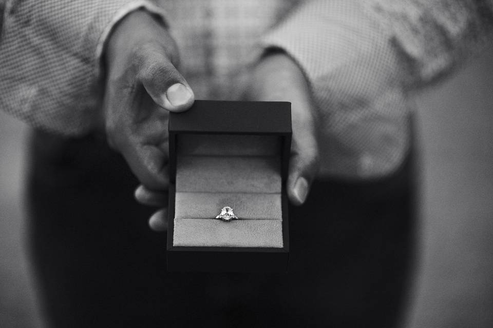 Allison + Christian