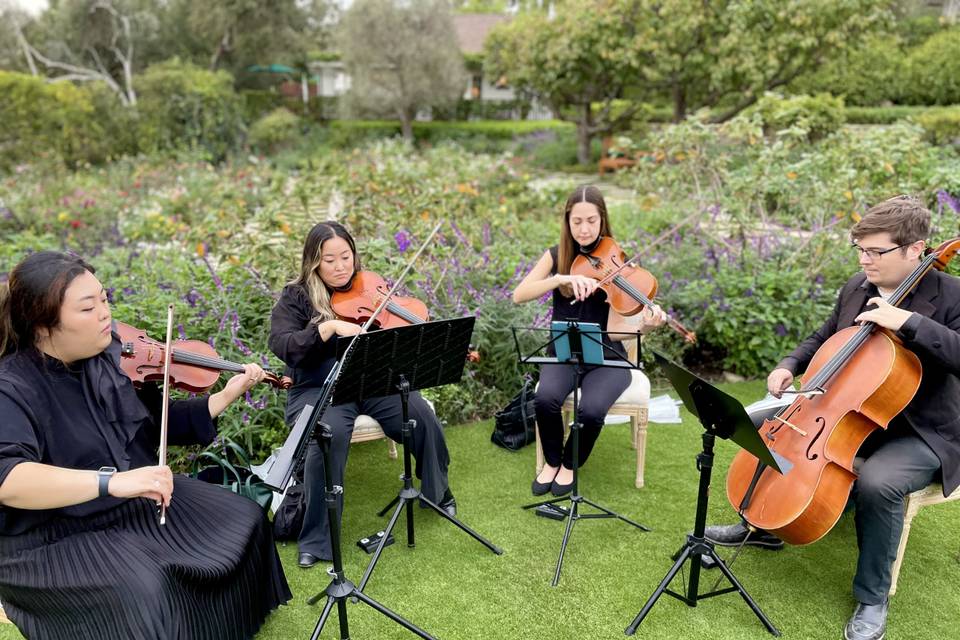 String quartet