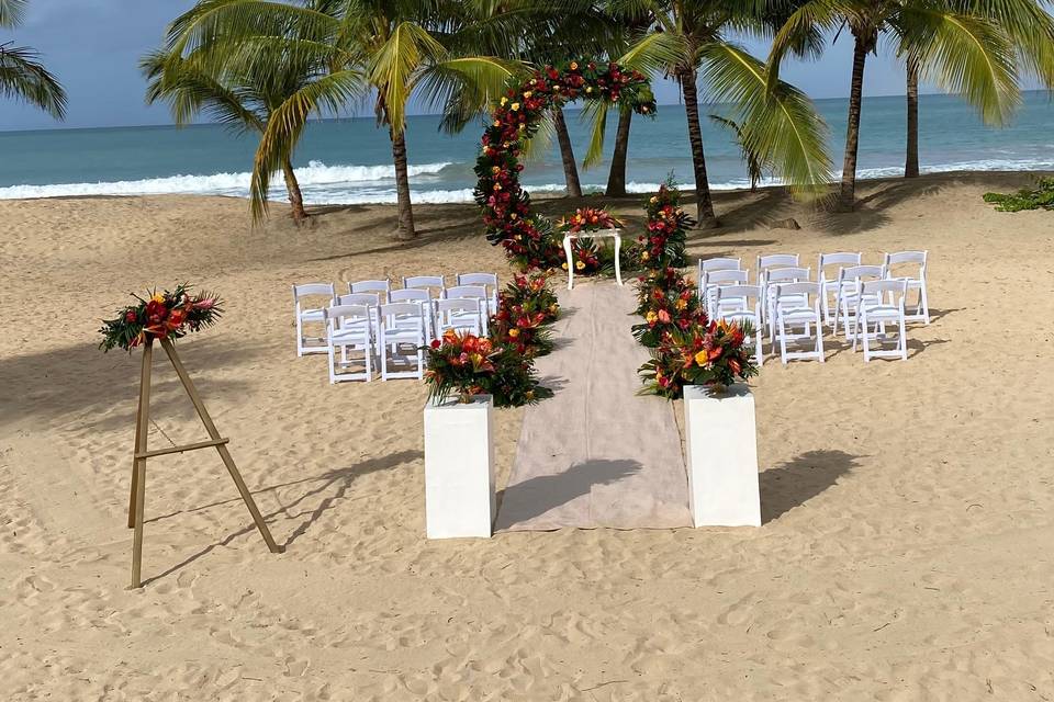 Dreams' Beach - Platform