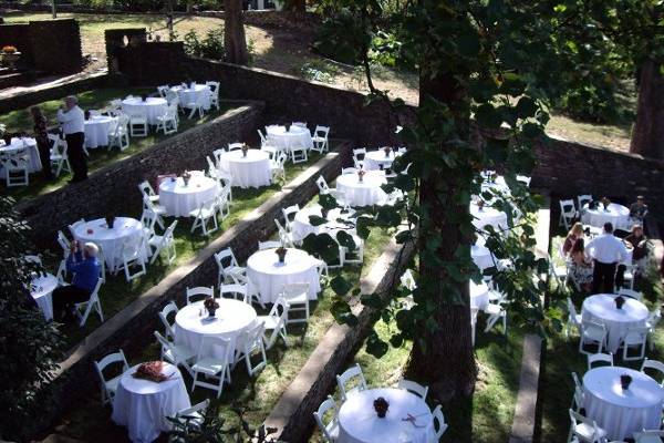 Table set up with centerpiece