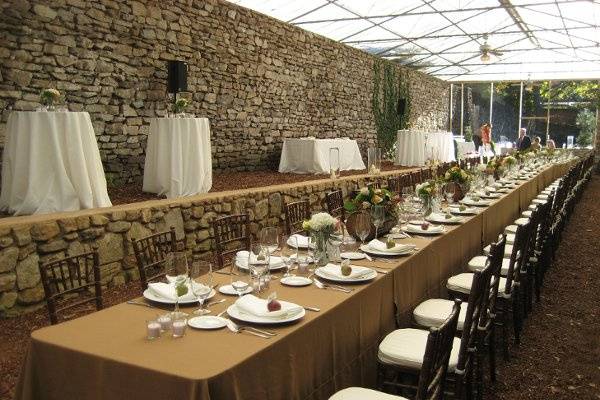 Table set up with centerpiece