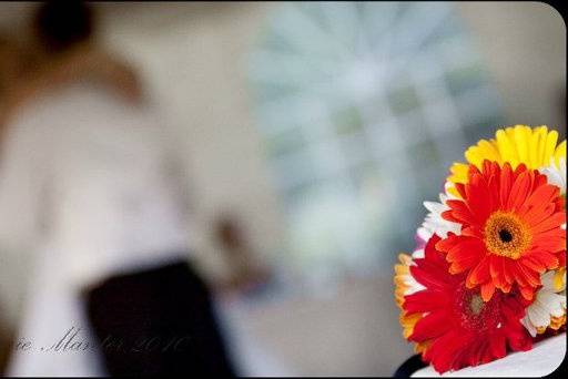 Angimarie Photography