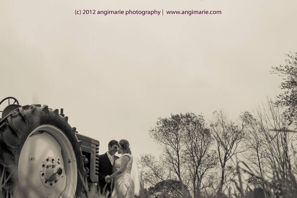 Angimarie Photography