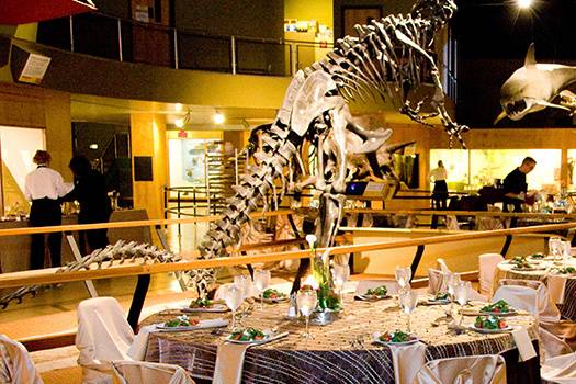 Dining with dinosaurs
