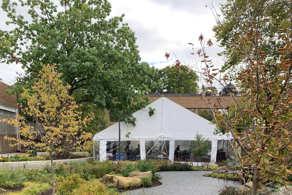 Tented Courtyard