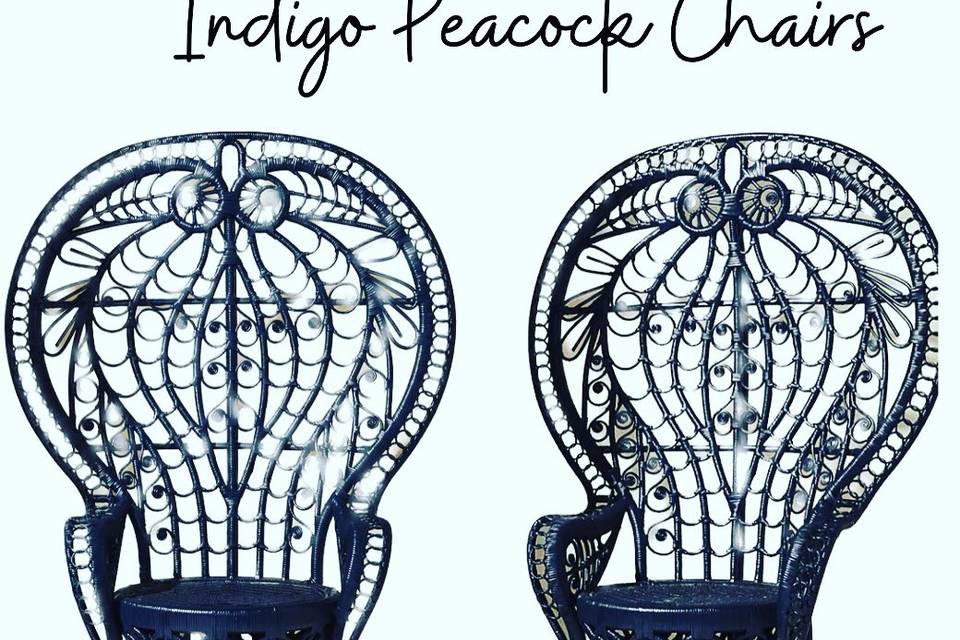 Peacock chair rentals