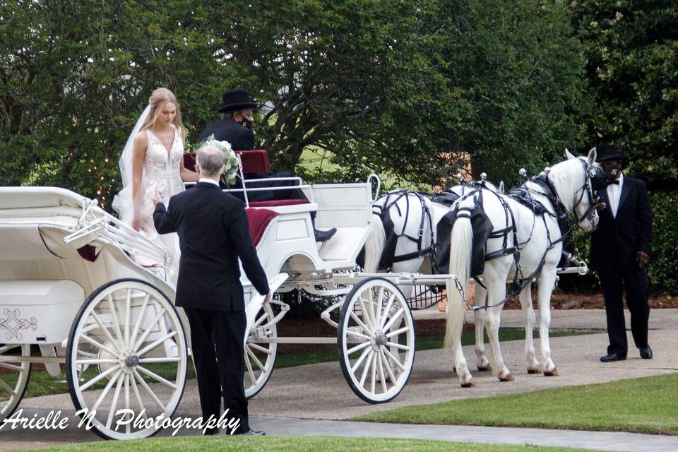 Bride's entrance