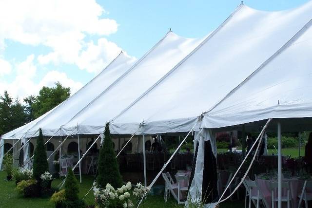 Trees and decor around the tent