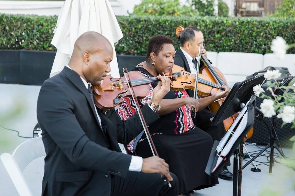 String trio at an outdoor Coyote Hills Fullerton CA