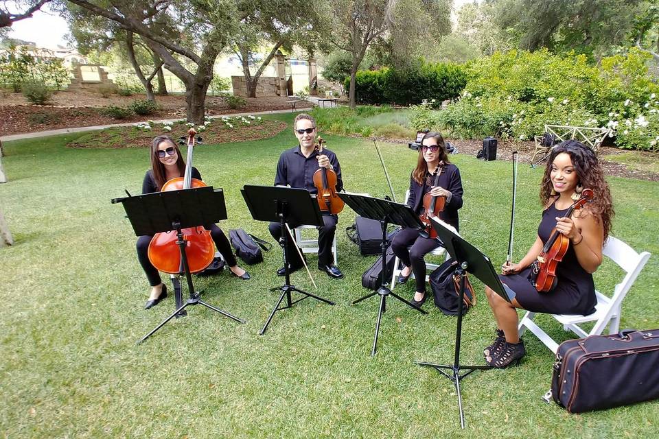 String quartet San Diego