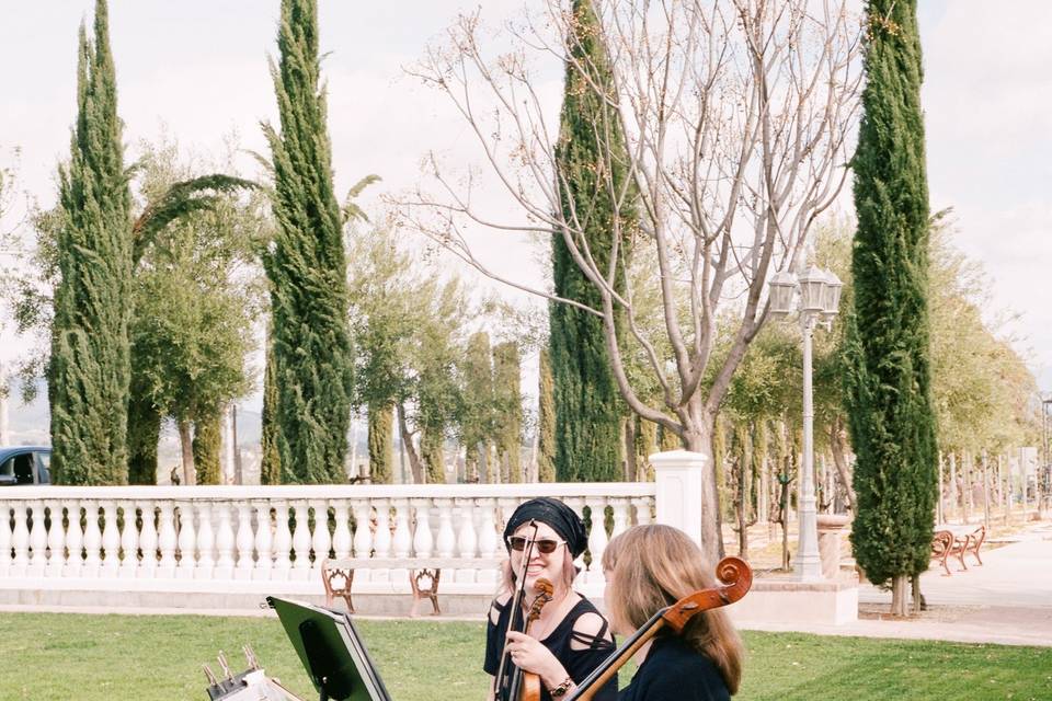 Violin Cello Duo
