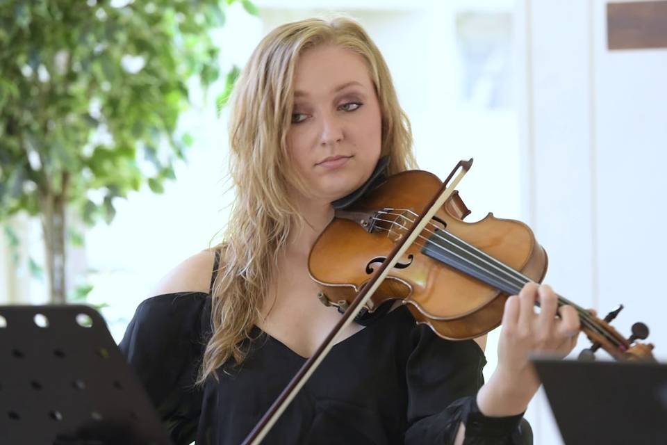 Solo Classical Violinist