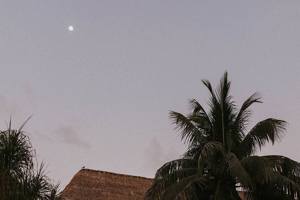 Blue Venado Beach Weddings