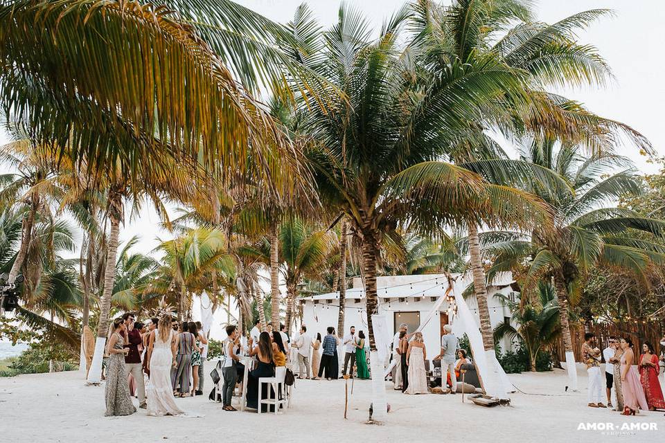 Blue Venado Beach Weddings