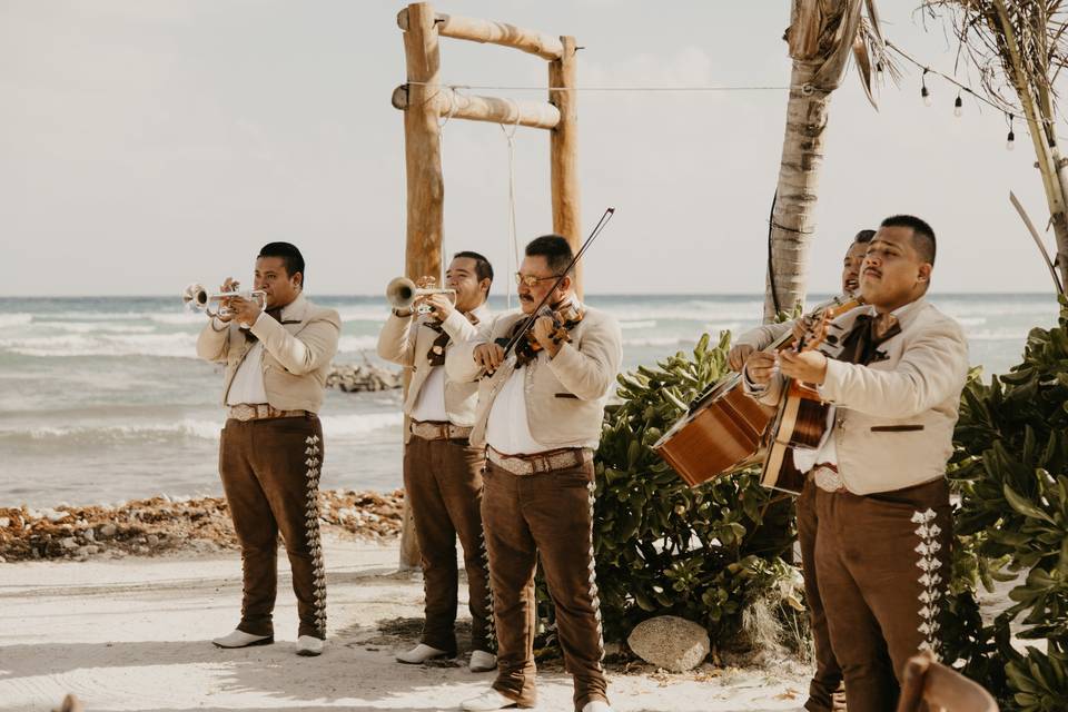 Blue Venado Beach Weddings