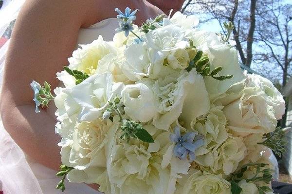 Fragrant and delicious bouquet of White French Tulips, Breathtaking White Peonies, Peeking Blue Tweedia, White Freesia, Akito roses, Clear Ocean Roses, Mini Cala Lilies, White Reneculas and of course White Hydrangea