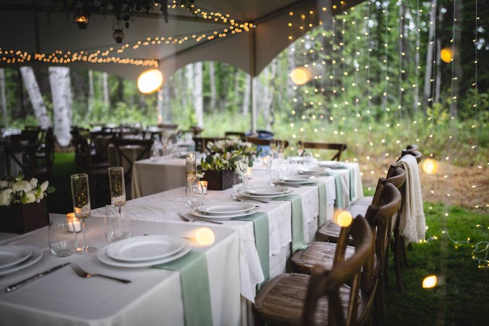 Fairy tale reception in the forest