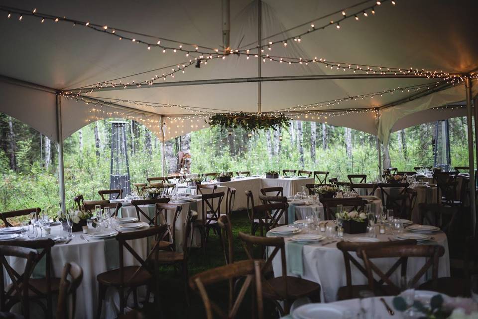 Magical garden tent reception