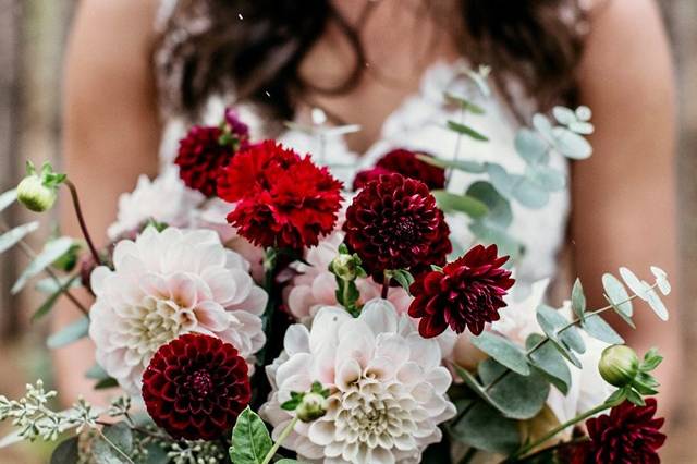 Flower farm dahlias