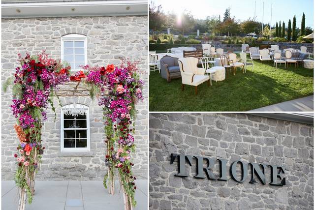 Trione Vineyards