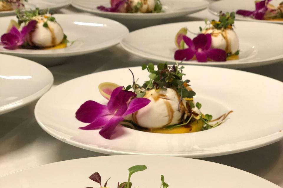 Burrata